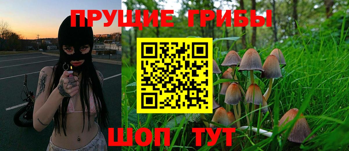 Галлюциногенные грибы GOLDEN TEACHER  Галлюциногенные грибы прущие грибы  Вход с VPN  Грязи 